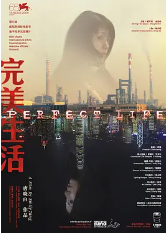 完美生活